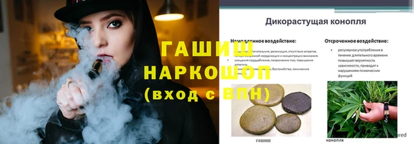 винт Алзамай
