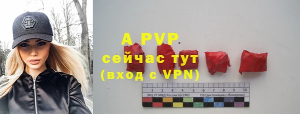 винт Алзамай