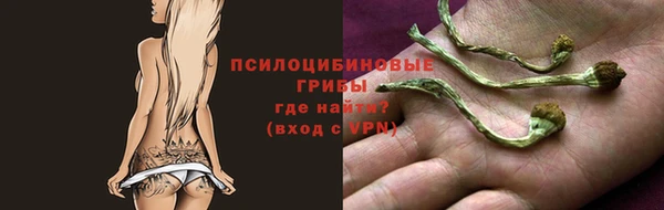наркотики Алексин