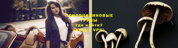 винт Алзамай