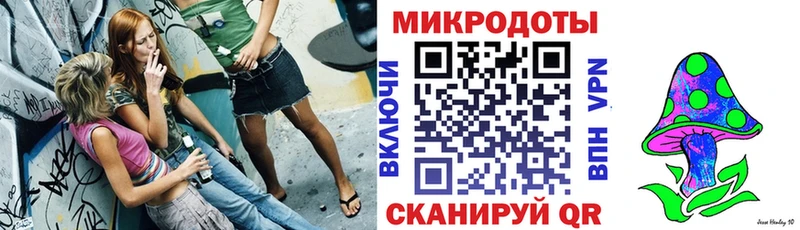 ссылка на мегу как войти  даркнет сайт  Камешково  Галлюциногенные грибы мицелий 